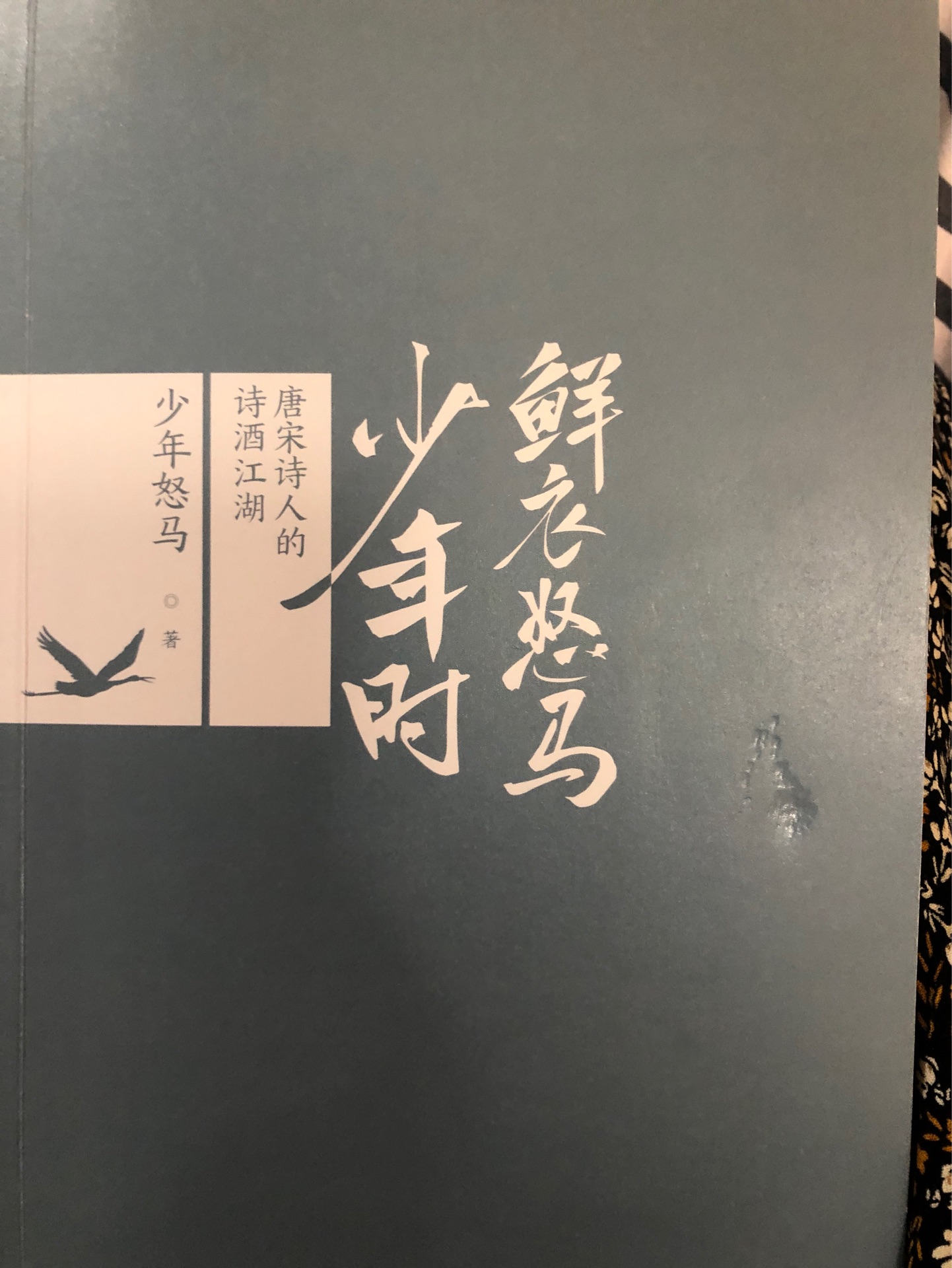 鮮花怒馬少年時(shí)