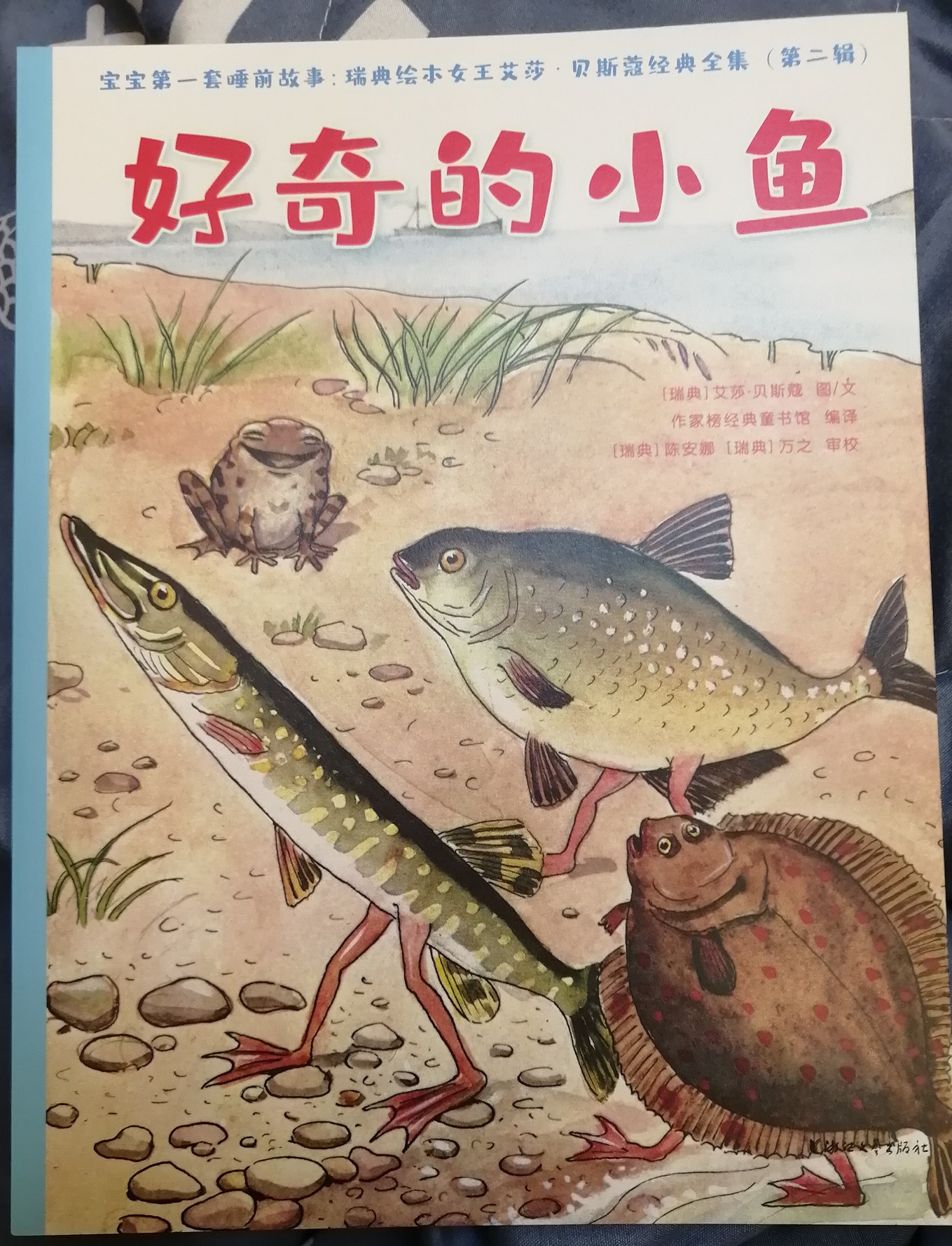 好奇的小魚