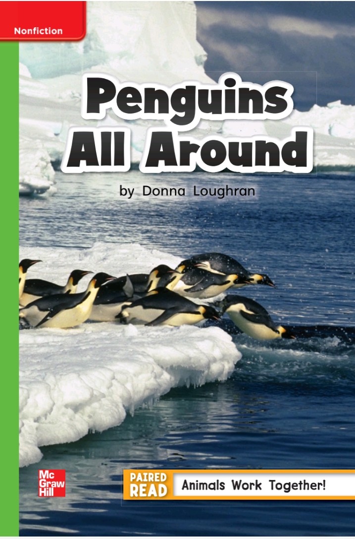 Penguins All Around