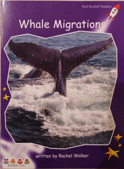 Whale Migrations