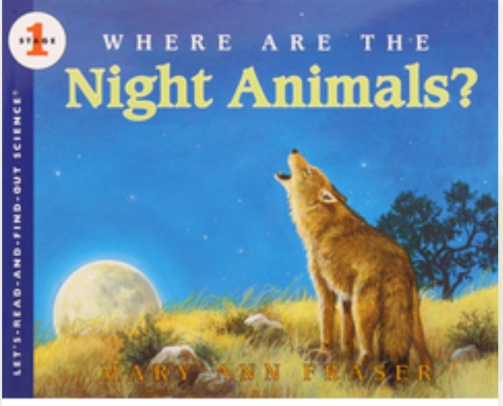 Where are the night animals?