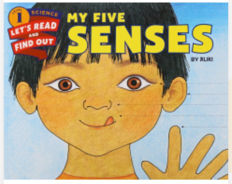 My Five Senses