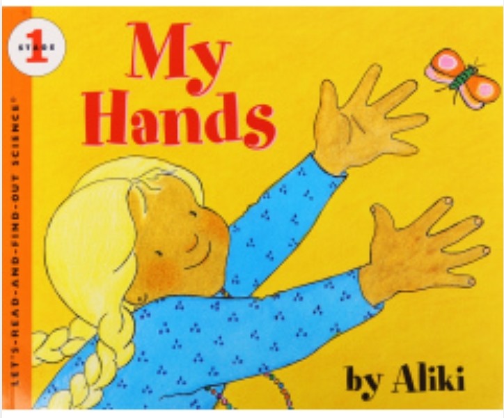 My Hands