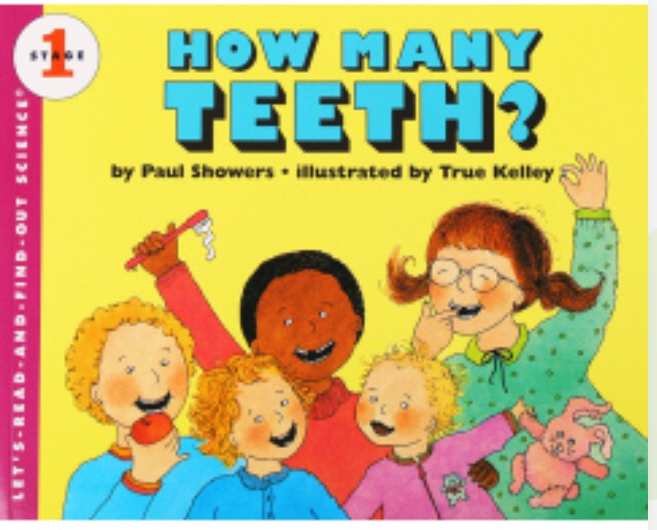 How Many Teeth?