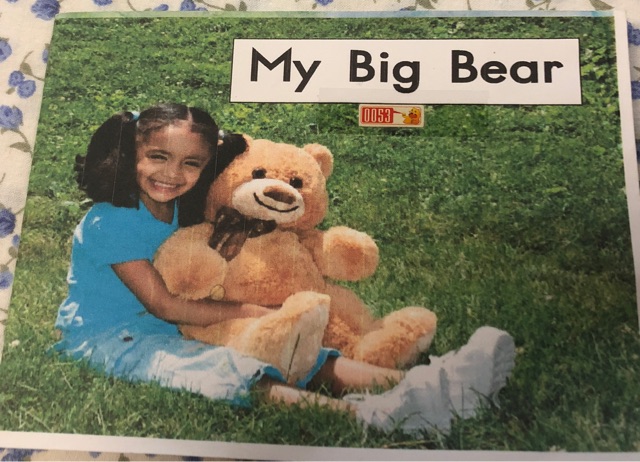 My big bear