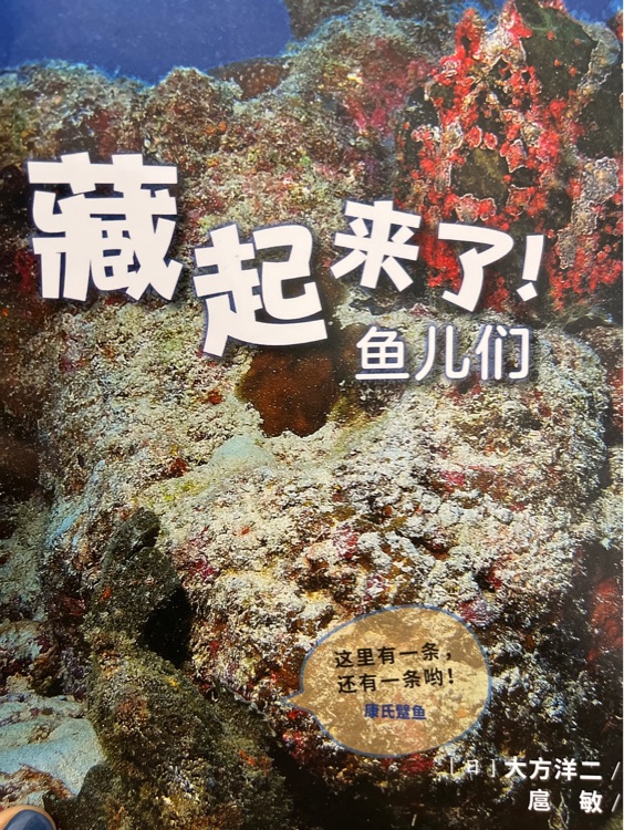 藏起來了魚兒們