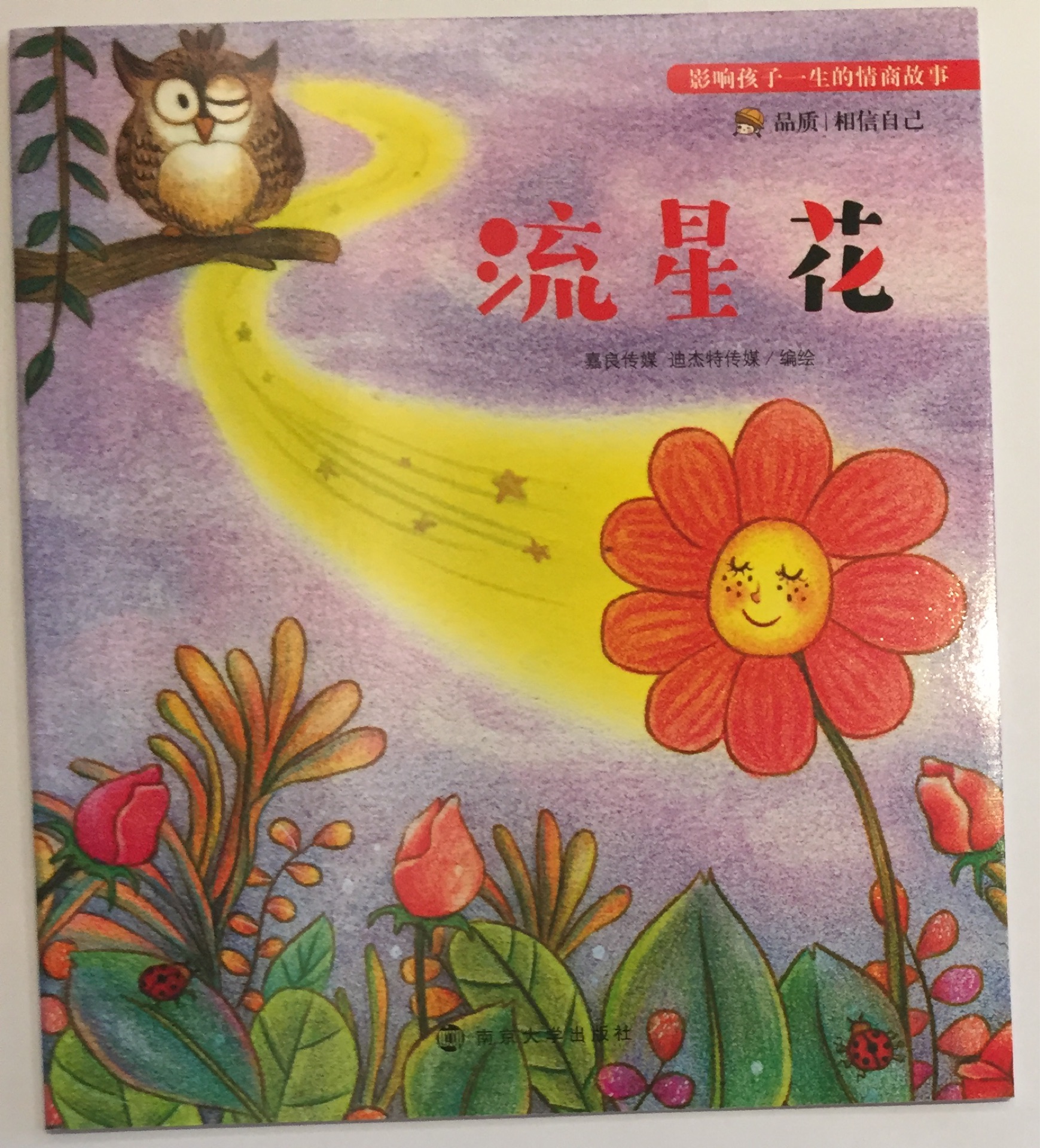 影響孩子一生的情商故事-流星花