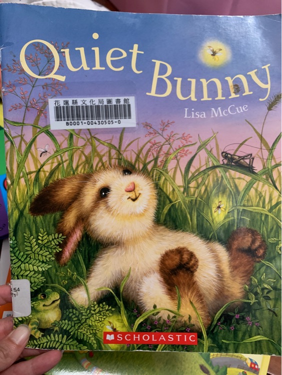 Quiet Bunny