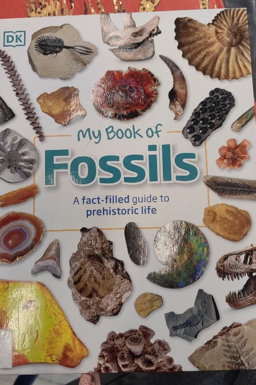 my book of Fossils