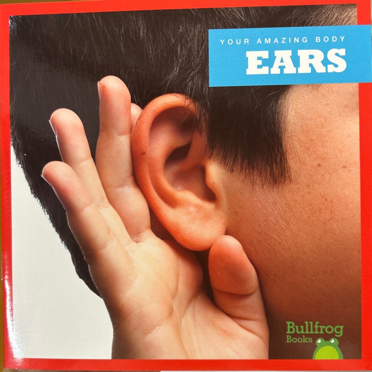 Ears (Bullfrog Books: Your Amazing Body)