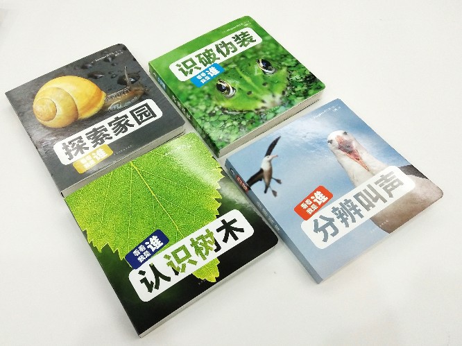 0-6月寶寶，該怎