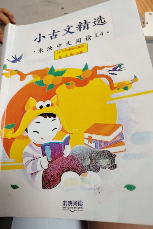 未泱小古文