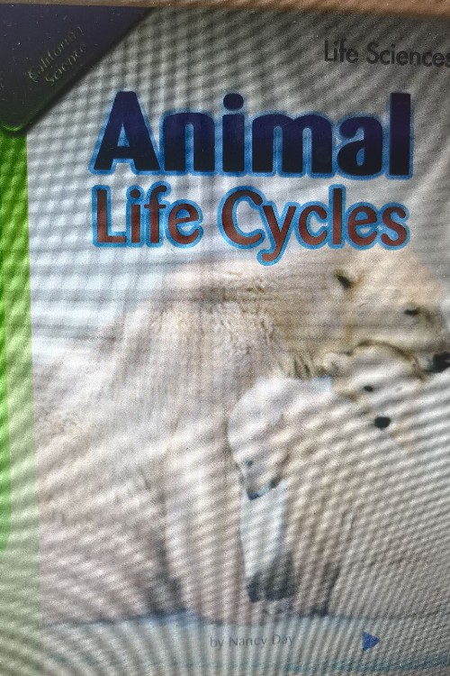 2.4 Animal life cycles