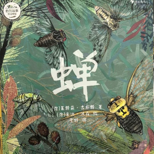自然故事我愛觀察: 蟬