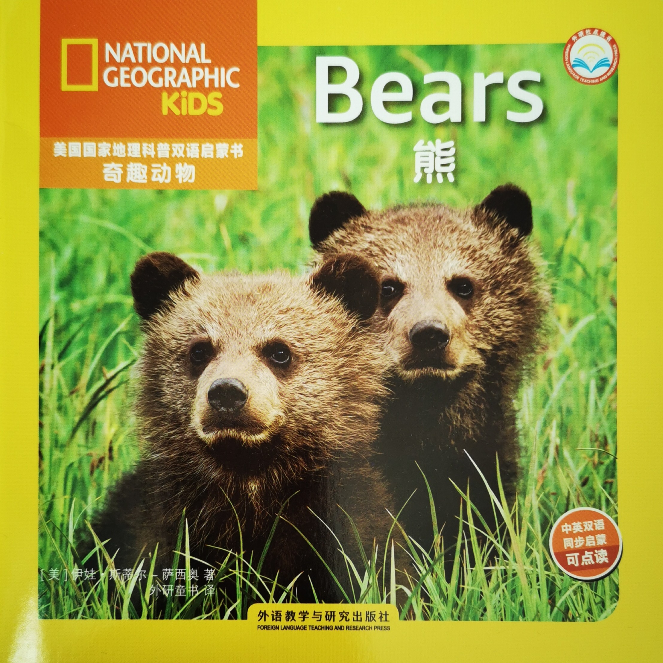 Bears 熊