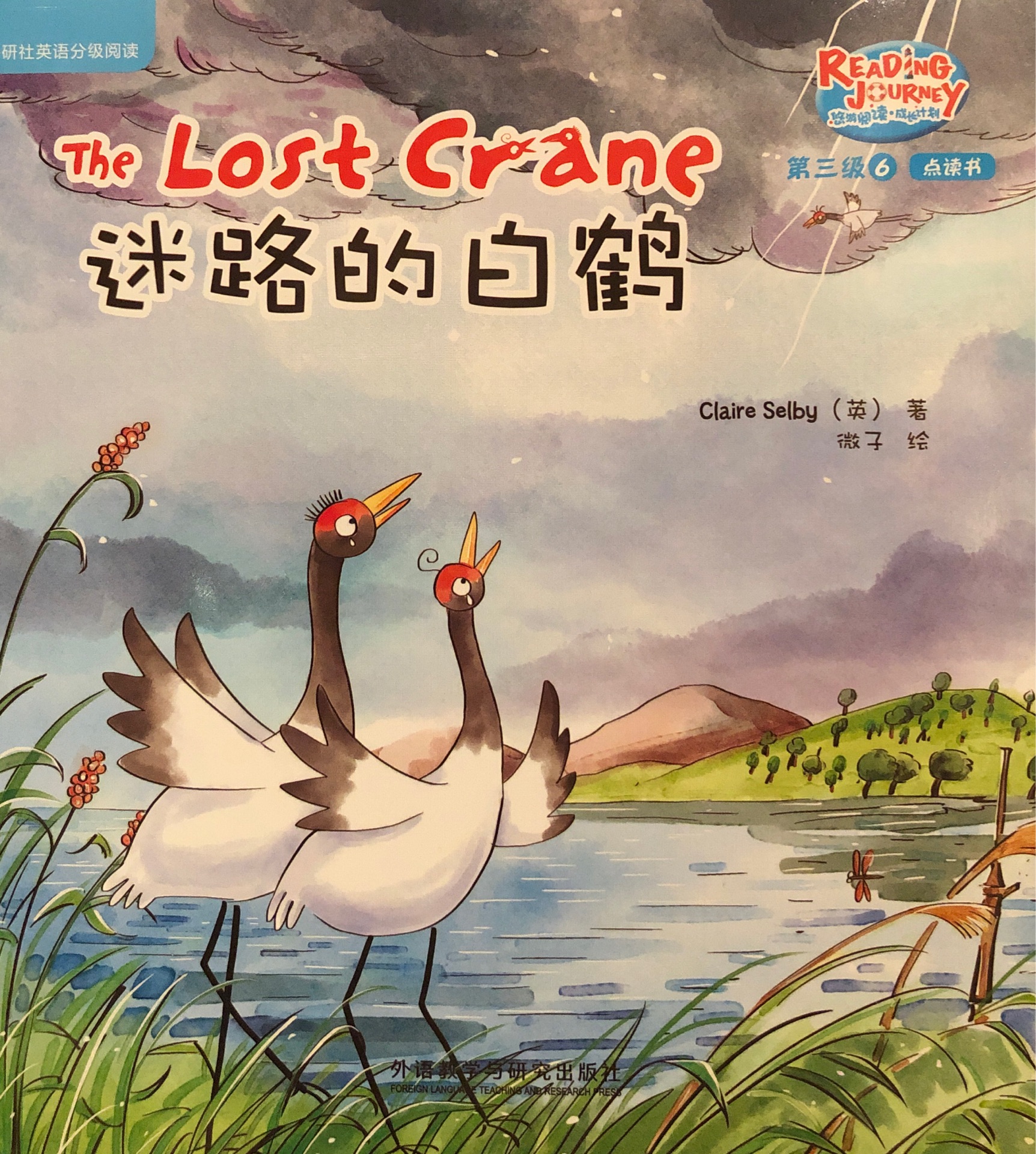 The Lost Crane