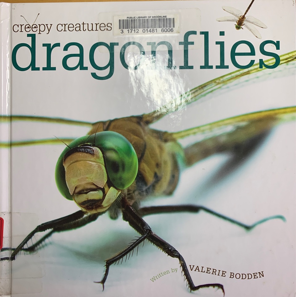 Creepy creatures: dragonflies