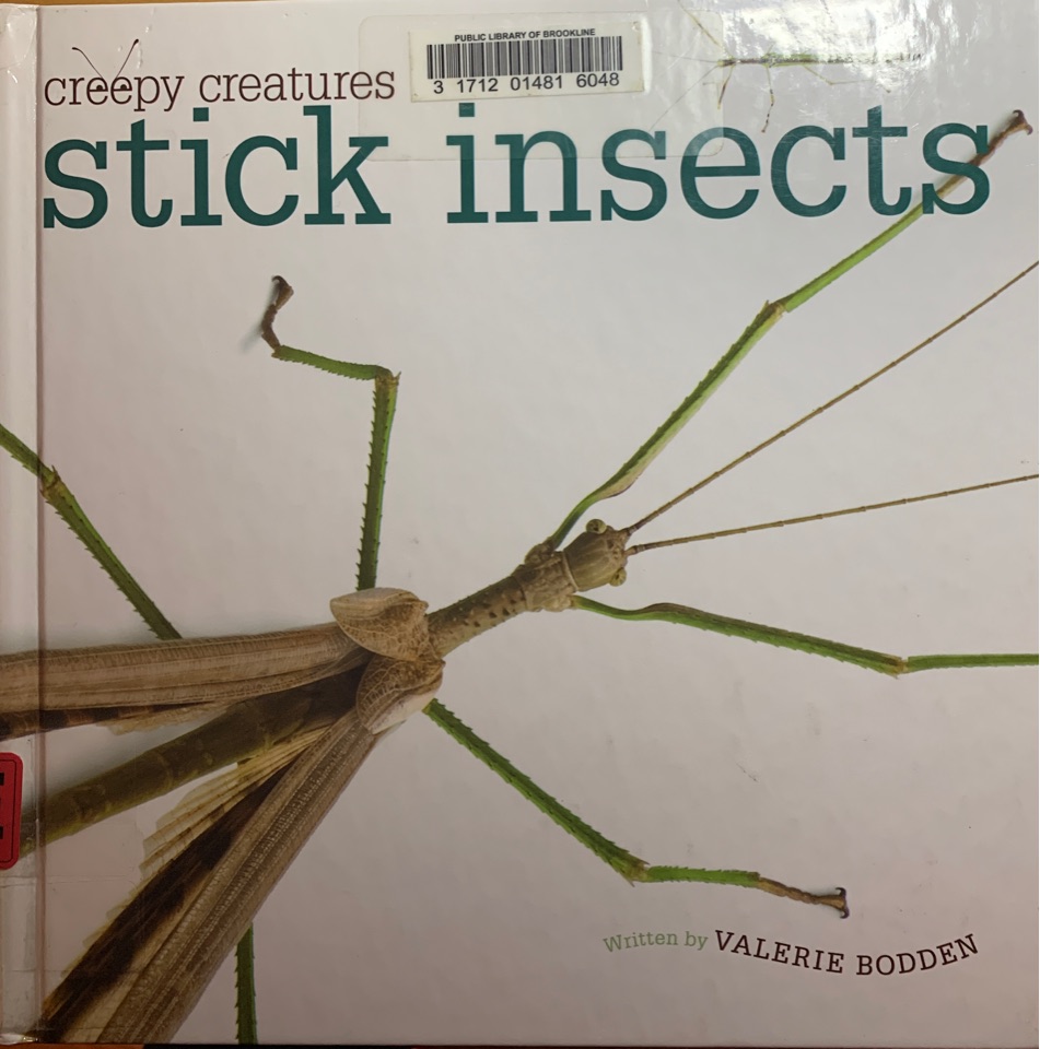 Creepy creatures-stick insects