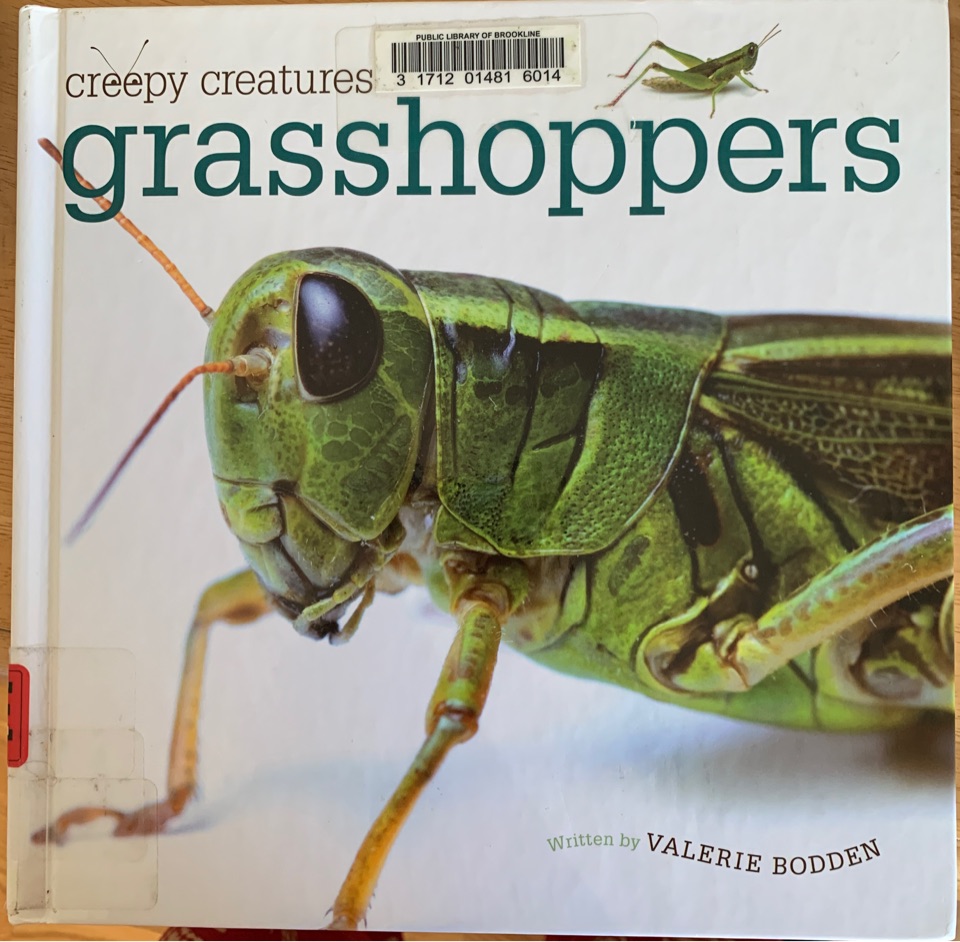 Creepy creatures-grasshoppers