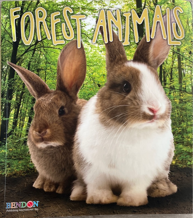 Forest Animals