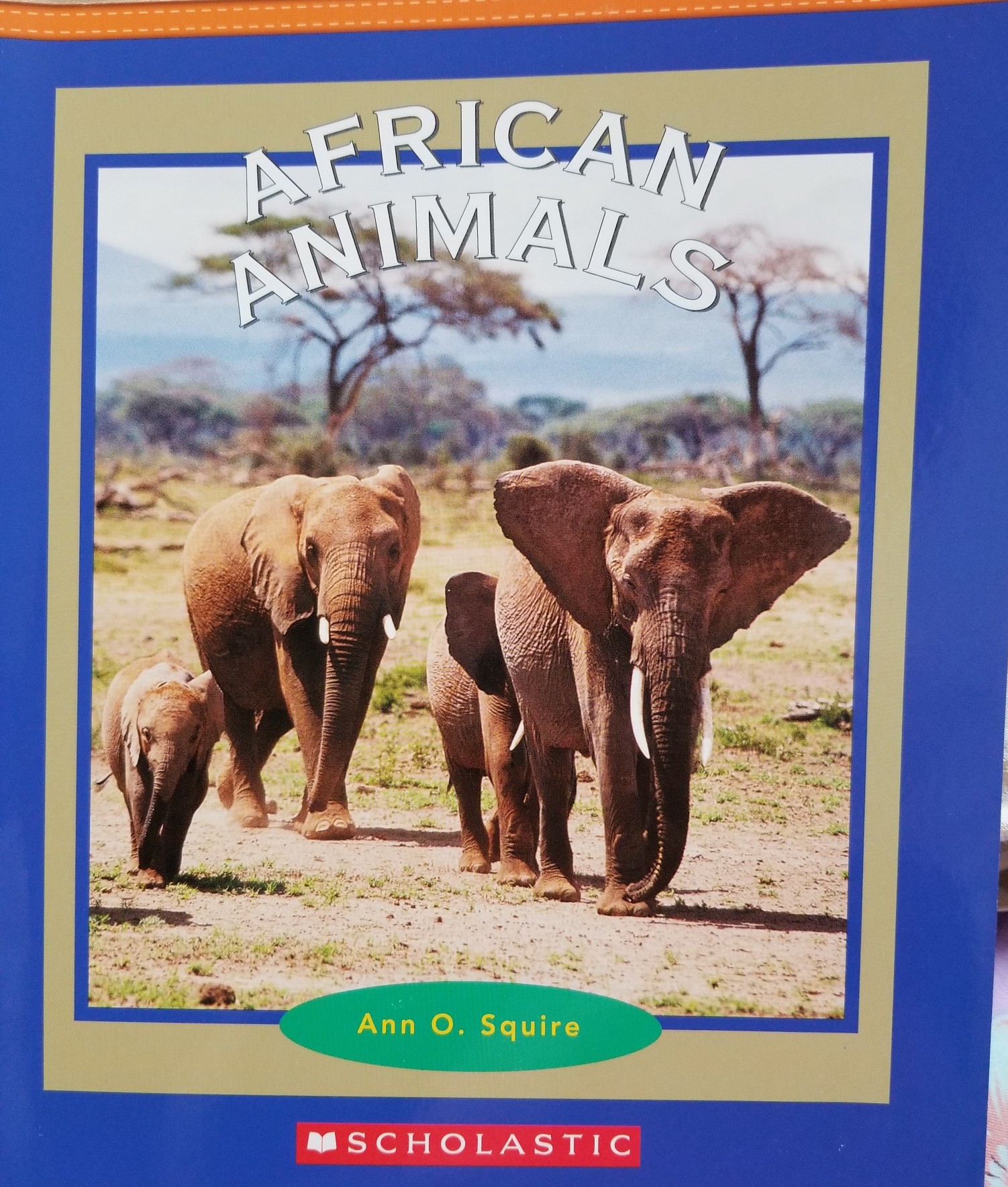 african animals