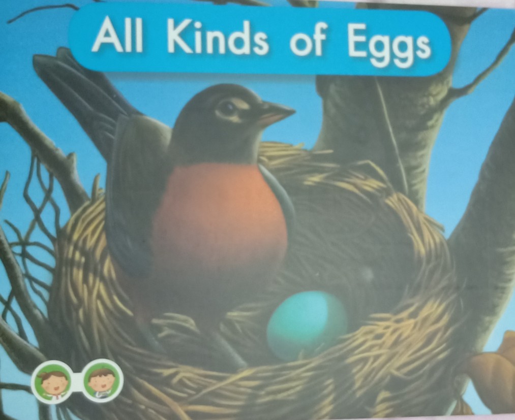 Heinemann Gk-84:All Kinds of Eggs