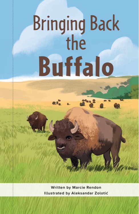 bring back the buffalo(RAZ N)
