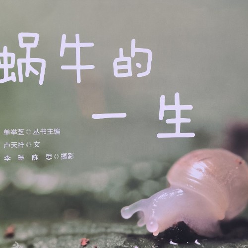 蝸牛的一生