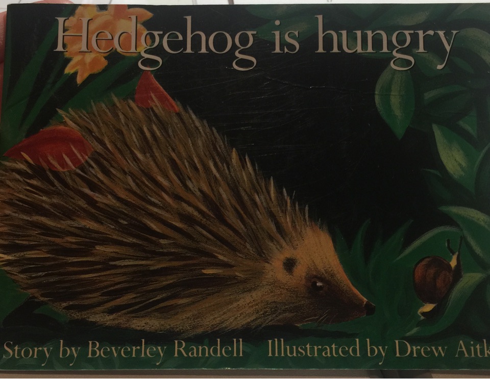 Hedgehog is hungry