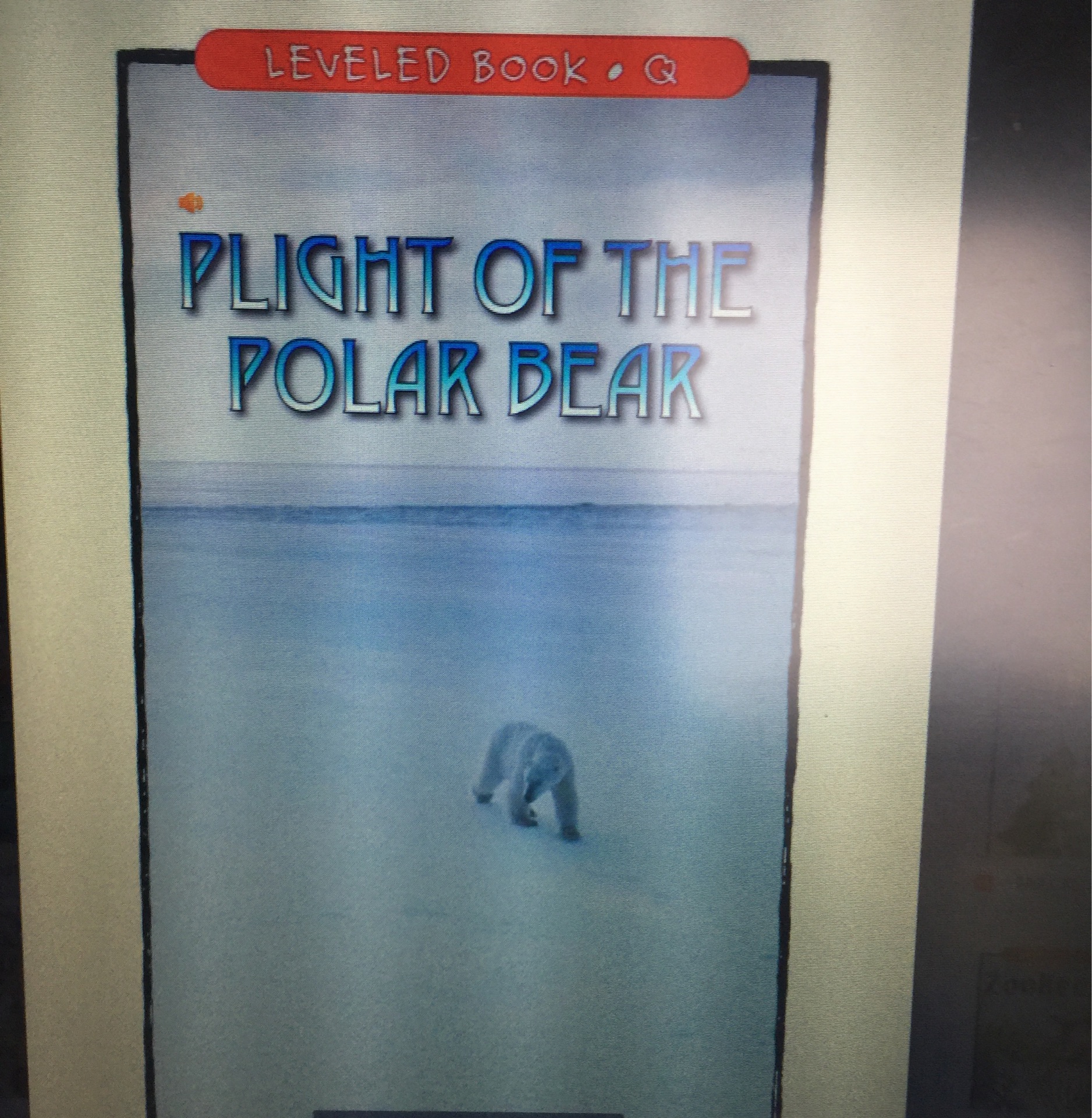 Plight of the Polar Bear