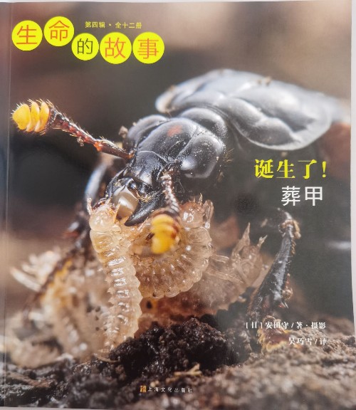 誕生了! 葬甲