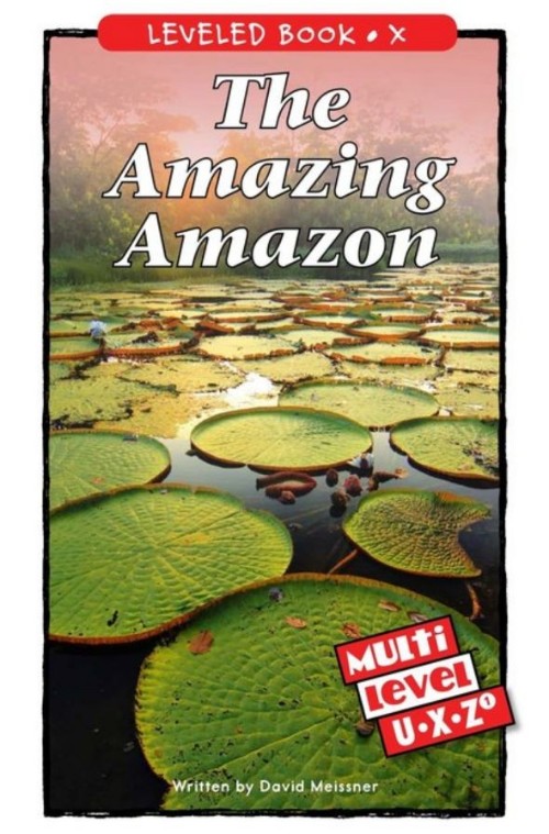 The Amazing Amazon