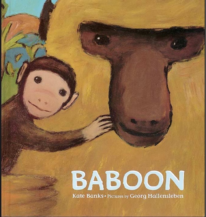 baboon