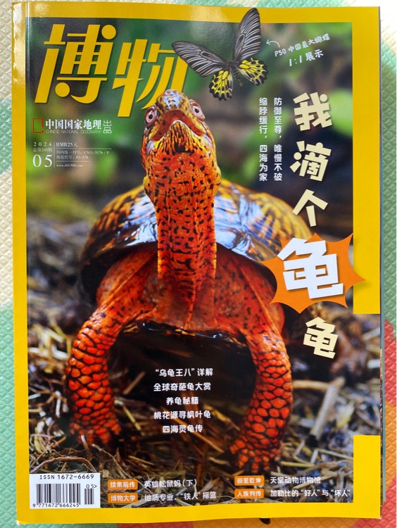 博物2024 05我滴個(gè)龜龜