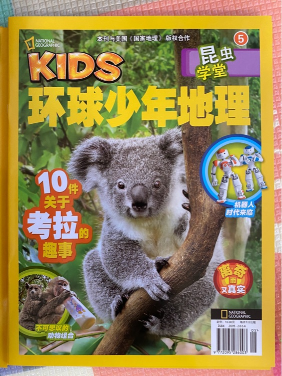 環(huán)球少年地理精選集(1)5 10件關(guān)于考拉的趣事