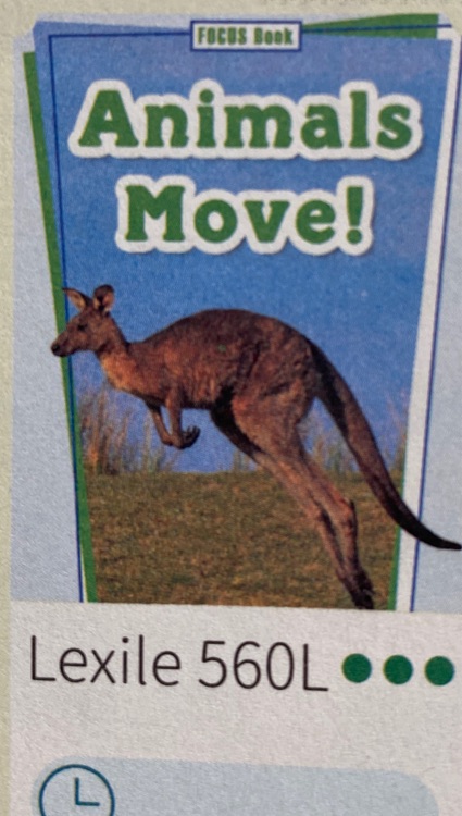 saz animals move