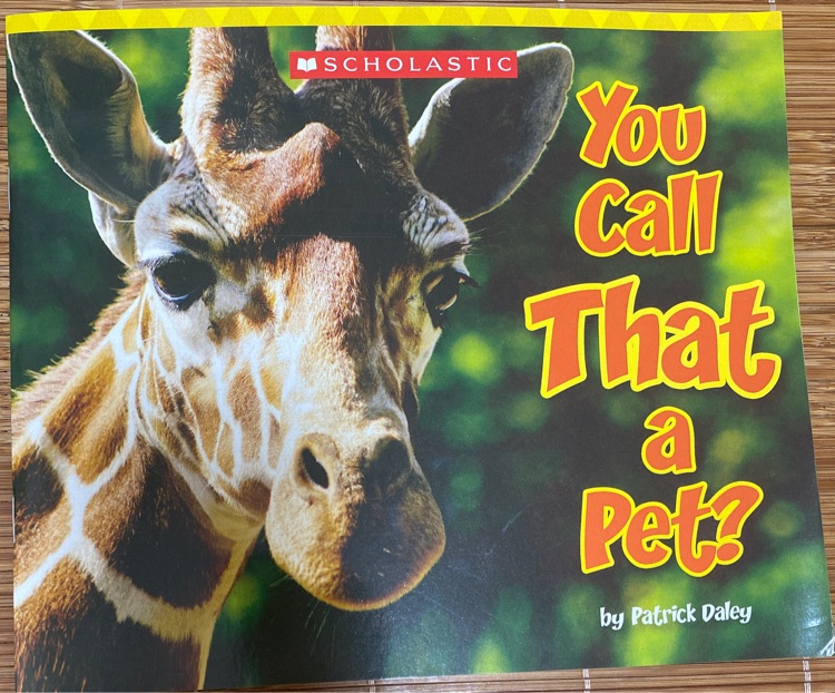 You Call That a Pet?
(Scholastic Everyday Book box 3)(Grl J)