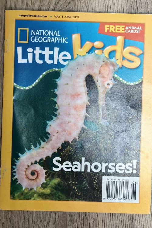 National Geographic Little Kids: Seahorses!