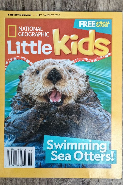 National Geographic Little Kids: Swimming Sea Otters!