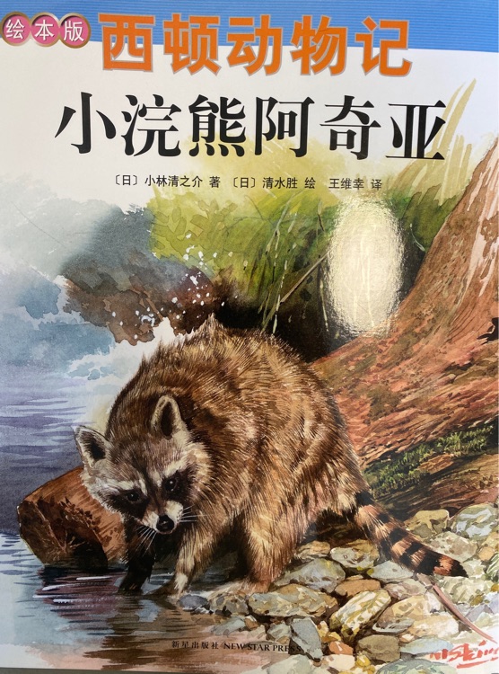 西頓動物記 小浣熊阿奇亞