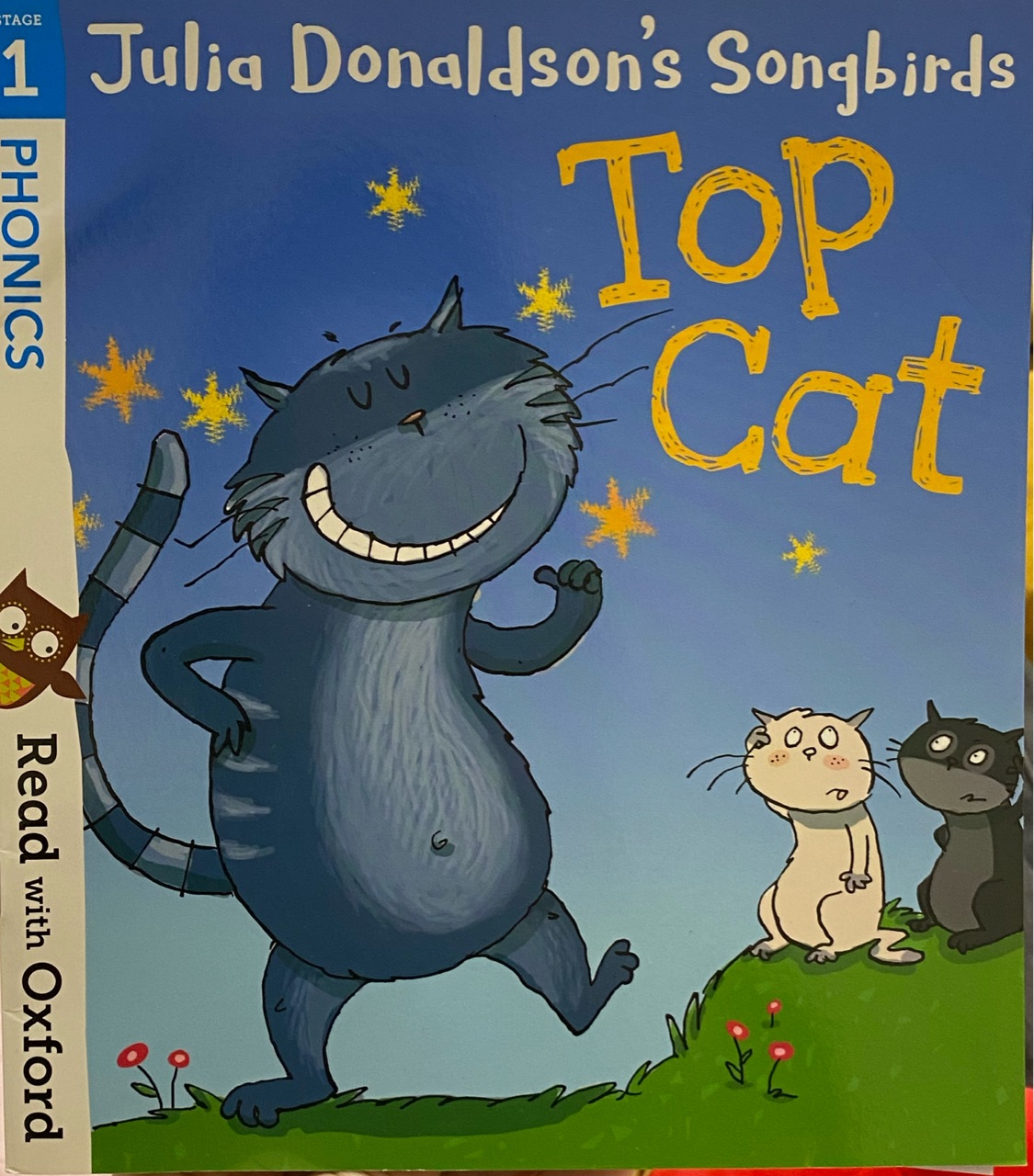 Oxford Reading Tree Songbirds Phonics Level 1: Top Cat