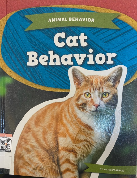 Cat Behavor