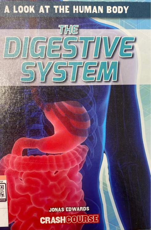 The Digestive System