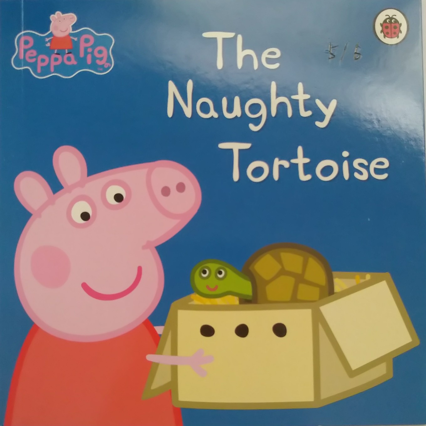 The naughty tortoise