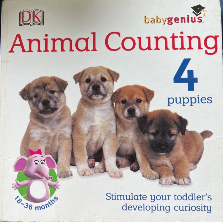 animal counting