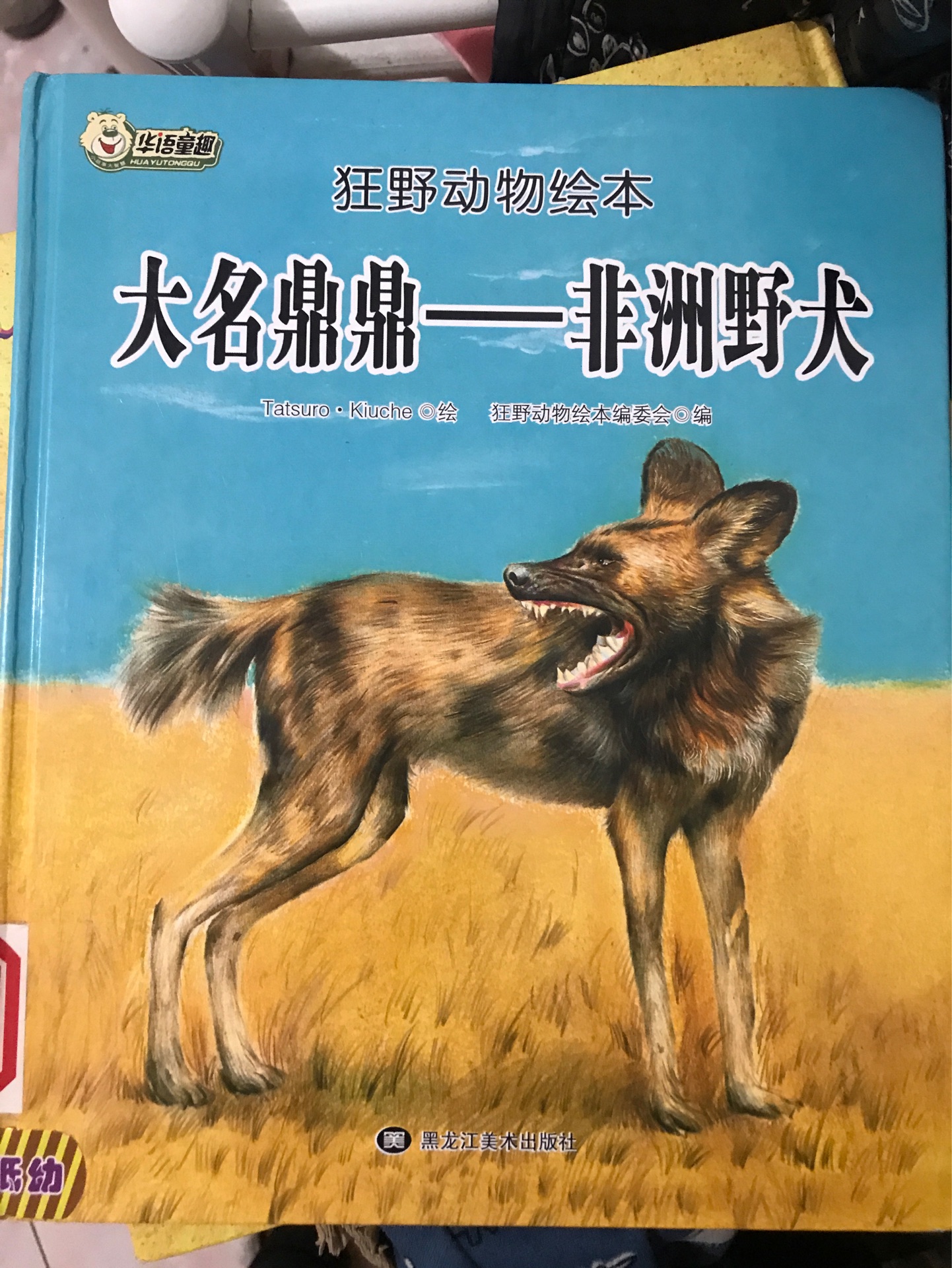 大名鼎鼎非洲野犬