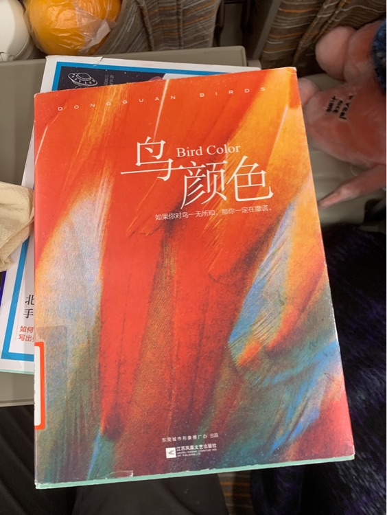 鳥顏色