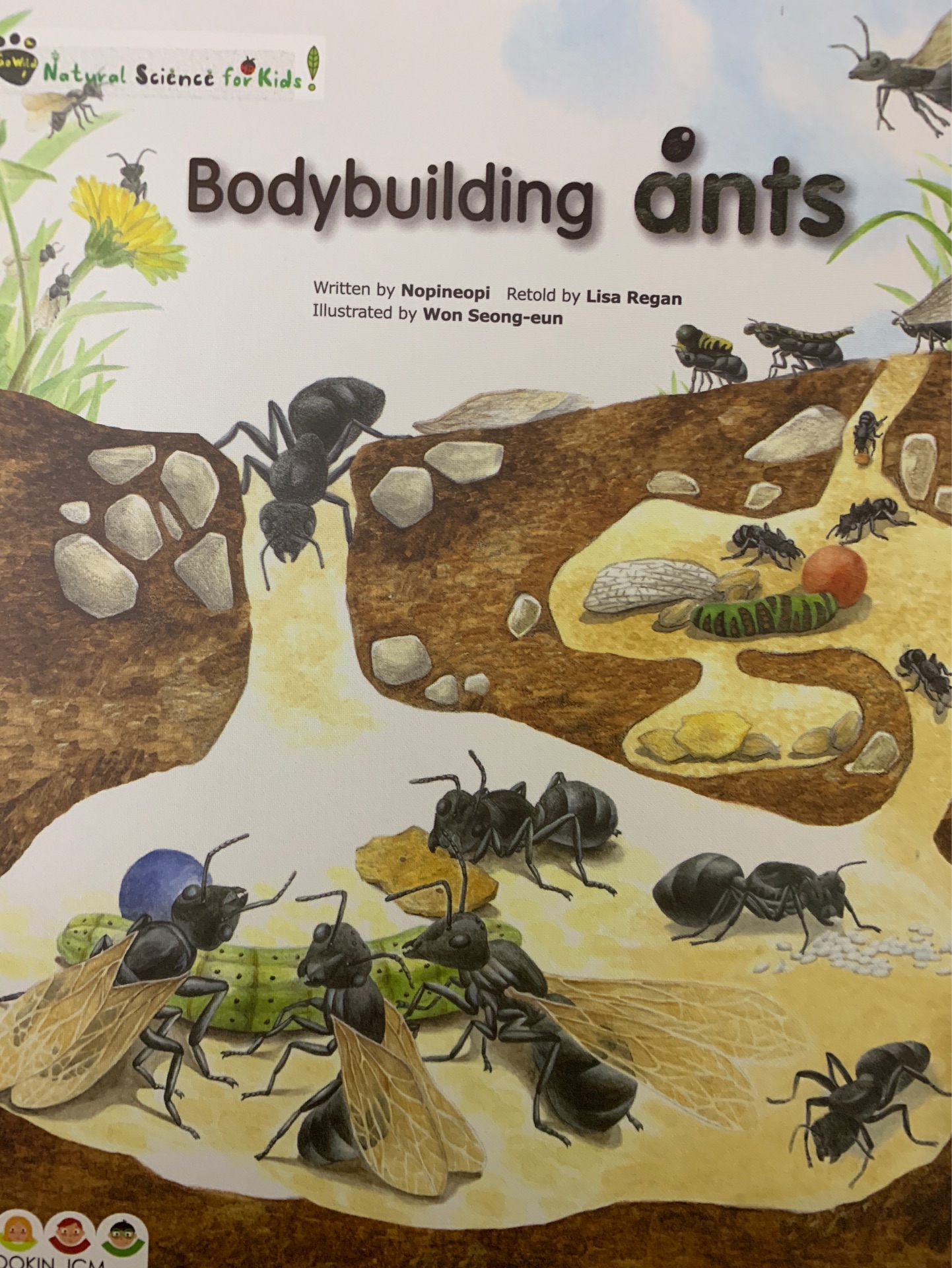 Bodybuilding ants