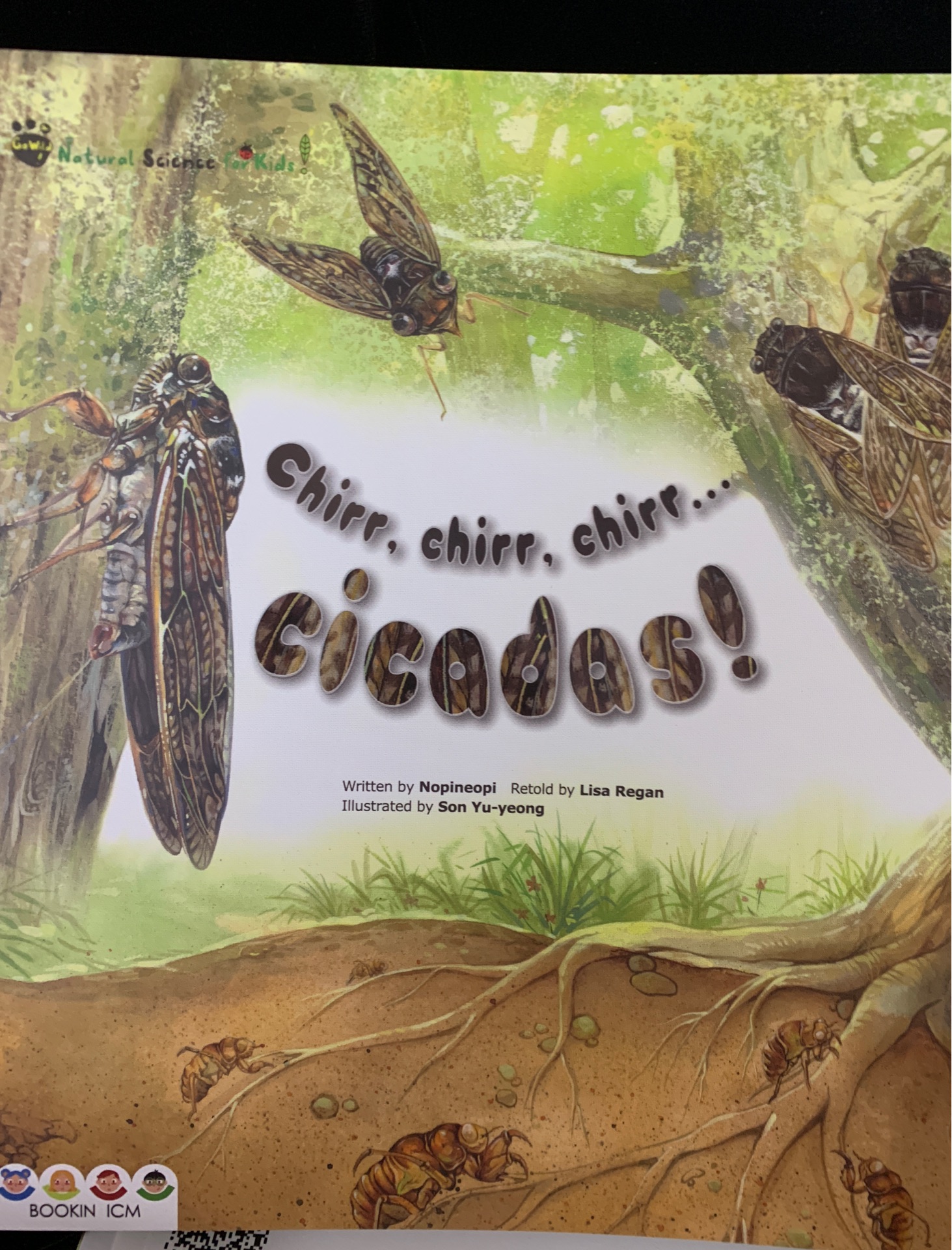 chirr, chirr, chirr…cicadas