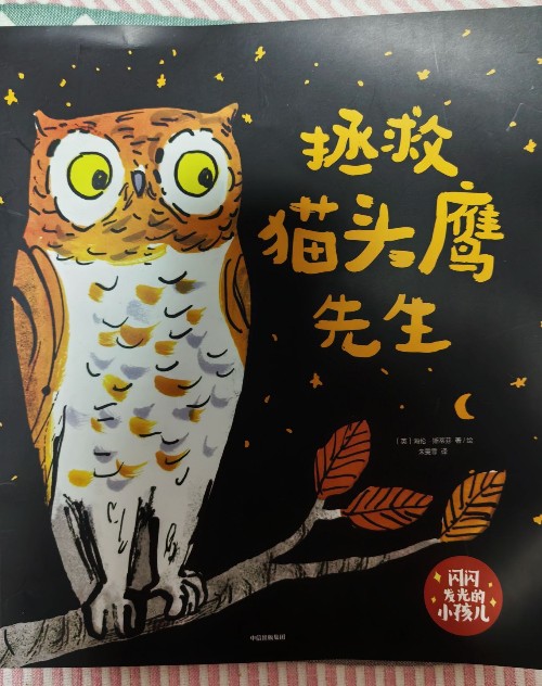 闪闪发光的小孩: 拯救猫头鹰先生